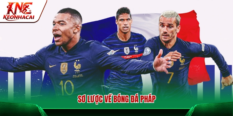 Tổng quan về nền bóng đá Pháp