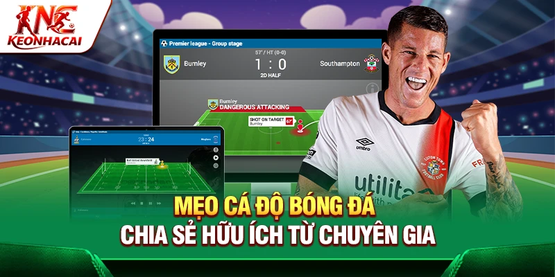 Mẹo Cá Độ Bóng Đá – Chia Sẻ Hữu Ích Từ Chuyên Gia