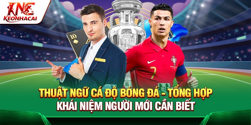 https://zilto.io/thuat-ngu-ca-do-bong-da/